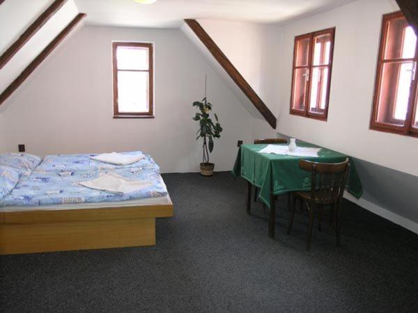 Penzion Novopacke Sklepy Nová Paka Quarto foto